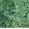 Fabric Riley Blake Forest Green Ombre Expressions Batiks by the Quarter Yard BT23028-319